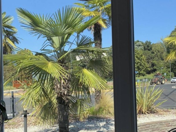 negozio in vendita a Mussolente