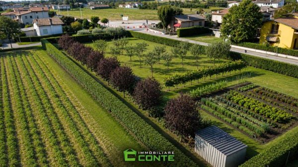 terreno agricolo in vendita a Mussolente in zona Casoni