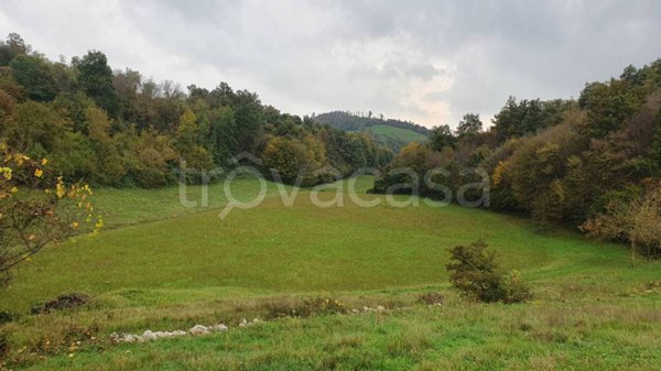 terreno agricolo in vendita a Nanto in zona Torretta
