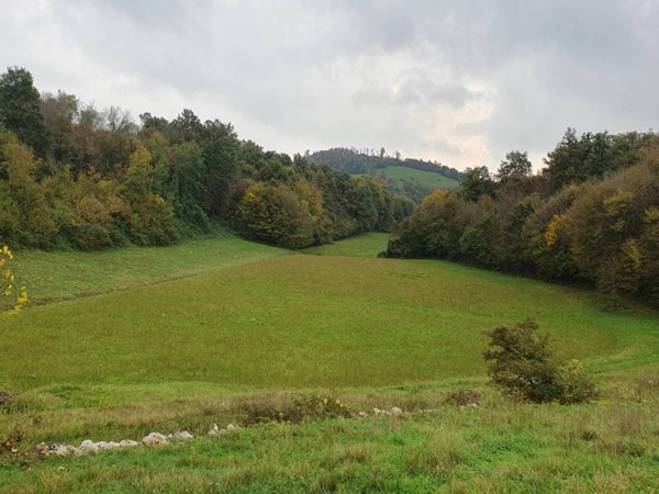 terreno agricolo in vendita a Nanto in zona Torretta
