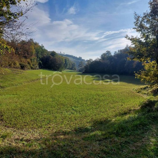 terreno agricolo in vendita a Nanto in zona Torretta