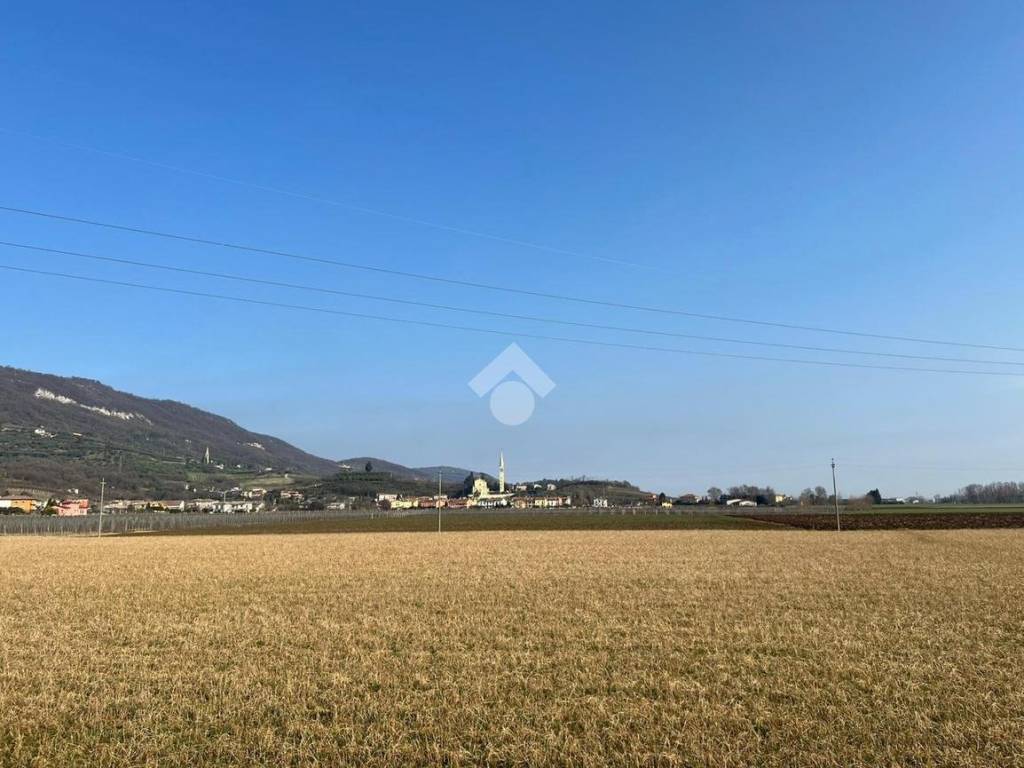 terreno agricolo in vendita a Nanto