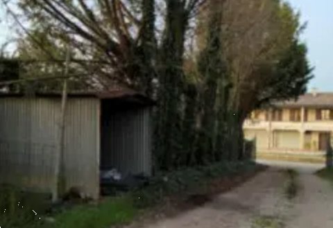 casa indipendente in vendita a Nanto in zona Bosco di Nanto