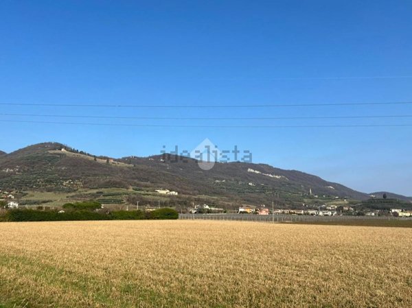 terreno agricolo in vendita a Nanto