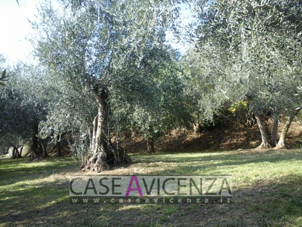 casa indipendente in vendita a Nanto