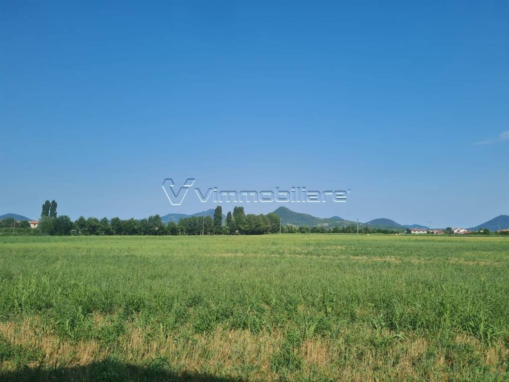 terreno agricolo in vendita a Noventa Vicentina