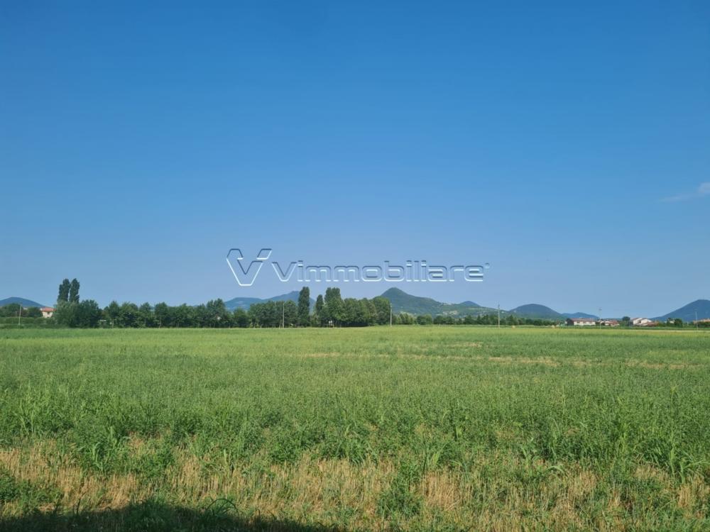 terreno agricolo in vendita a Noventa Vicentina
