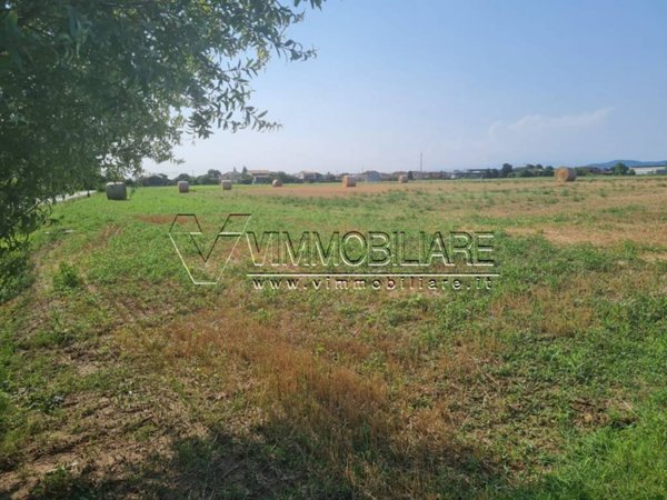 terreno agricolo in vendita a Noventa Vicentina in zona Saline