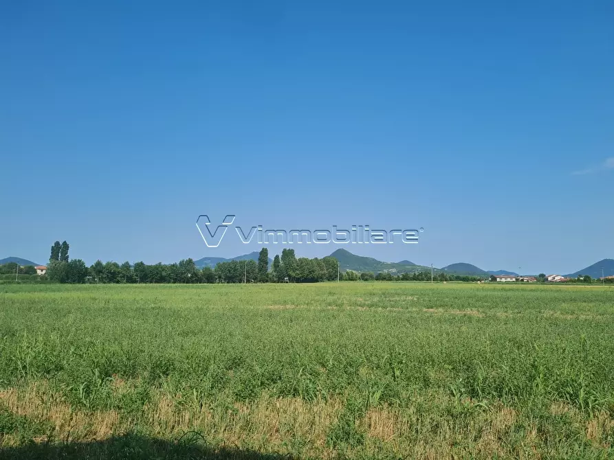 terreno agricolo in vendita a Noventa Vicentina in zona Saline