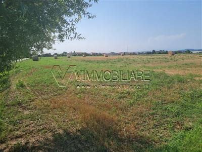 terreno agricolo in vendita a Noventa Vicentina in zona Saline