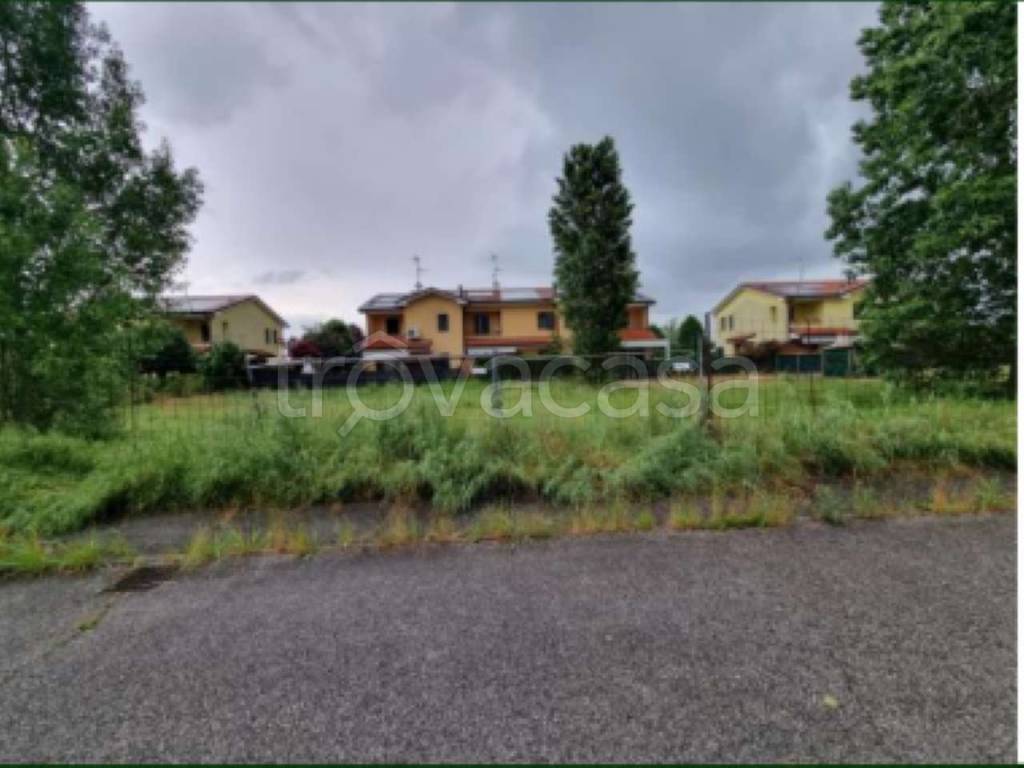 terreno agricolo in vendita a Noventa Vicentina in zona Saline