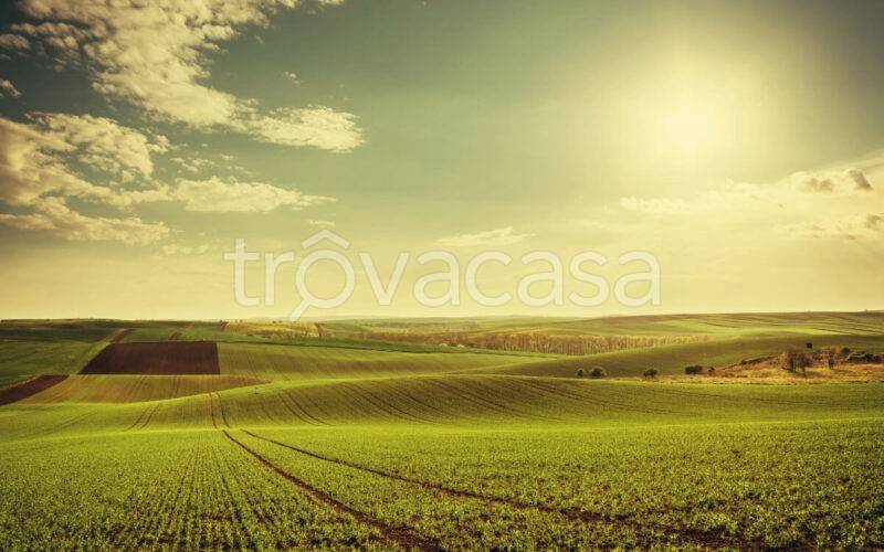 terreno agricolo in vendita a Noventa Vicentina