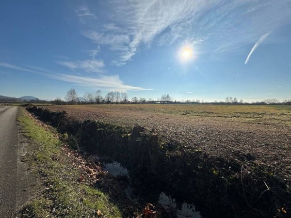 terreno agricolo in vendita a Noventa Vicentina