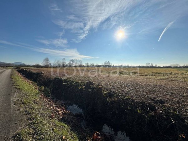 terreno agricolo in vendita a Noventa Vicentina