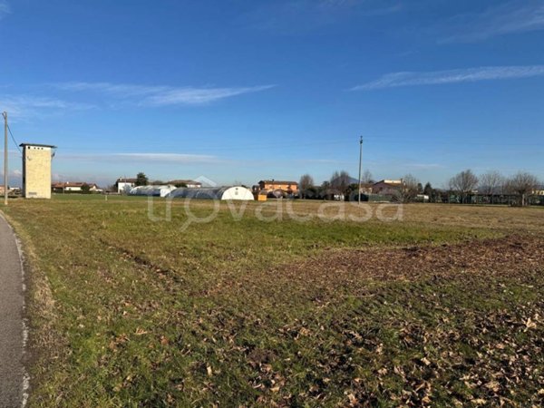 terreno agricolo in vendita a Noventa Vicentina