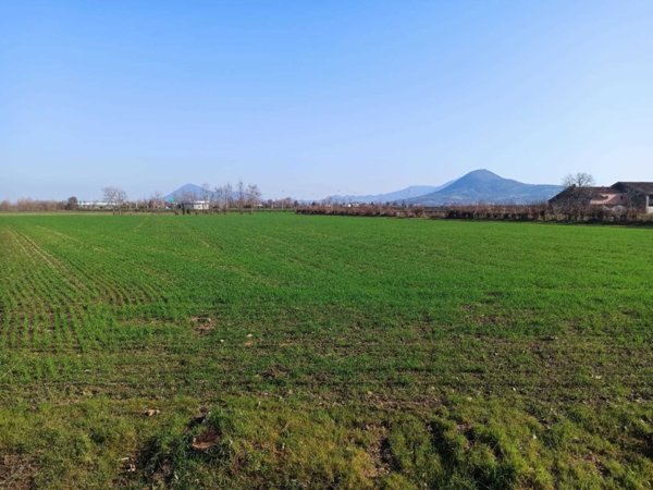 terreno agricolo in vendita a Noventa Vicentina in zona Are