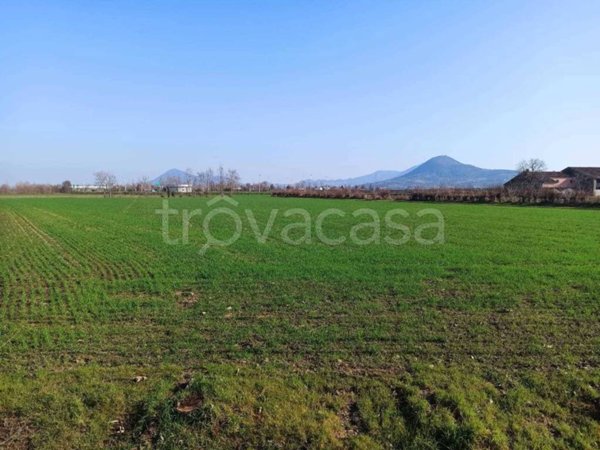 terreno agricolo in vendita a Noventa Vicentina in zona Are