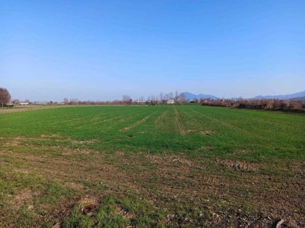 terreno agricolo in vendita a Noventa Vicentina in zona Are