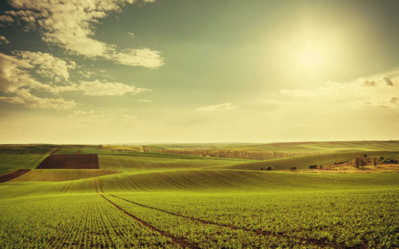 terreno agricolo in vendita a Noventa Vicentina