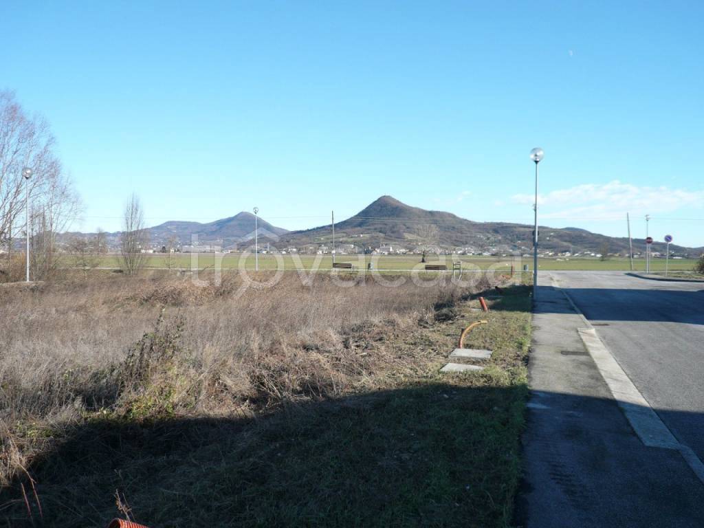 terreno agricolo in vendita a Noventa Vicentina in zona Saline
