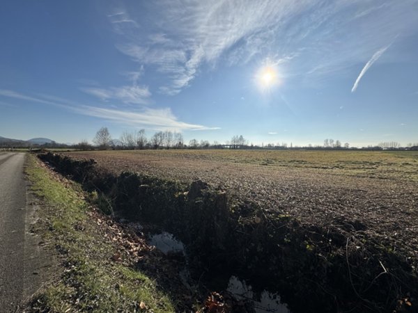 terreno agricolo in vendita a Noventa Vicentina