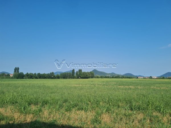 terreno agricolo in vendita a Noventa Vicentina in zona Saline