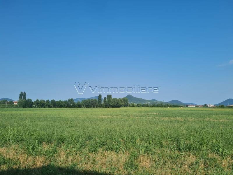 terreno agricolo in vendita a Noventa Vicentina