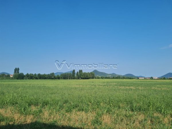 terreno agricolo in vendita a Noventa Vicentina in zona Saline