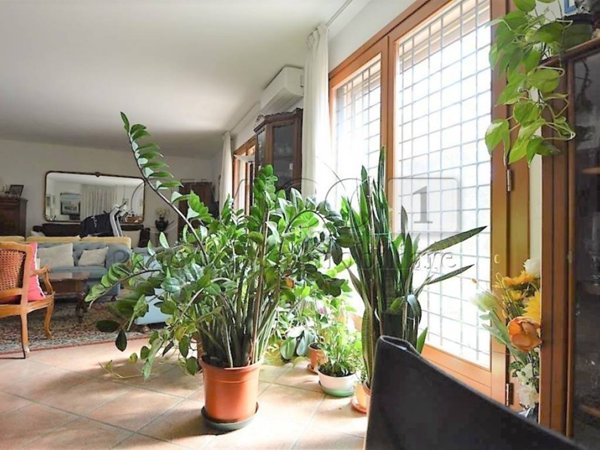 casa indipendente in vendita a Noventa Vicentina