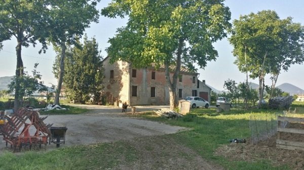 casa indipendente in vendita a Noventa Vicentina