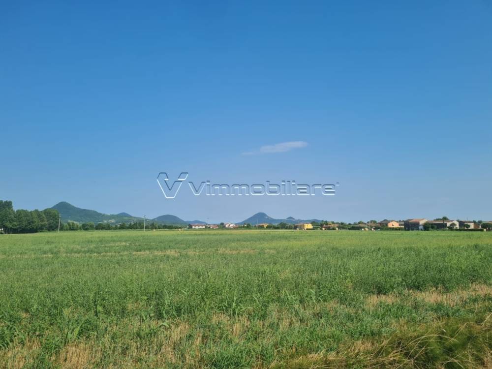 terreno agricolo in vendita a Noventa Vicentina in zona Saline