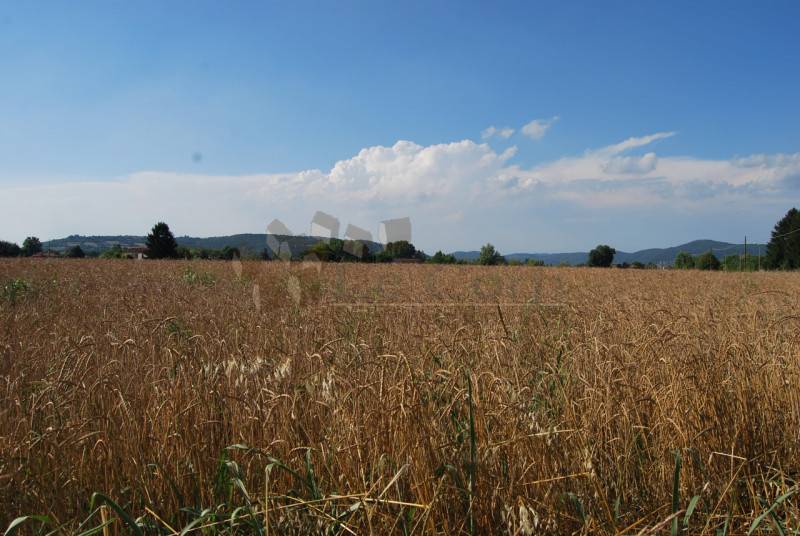 appartamento in vendita ad Orgiano