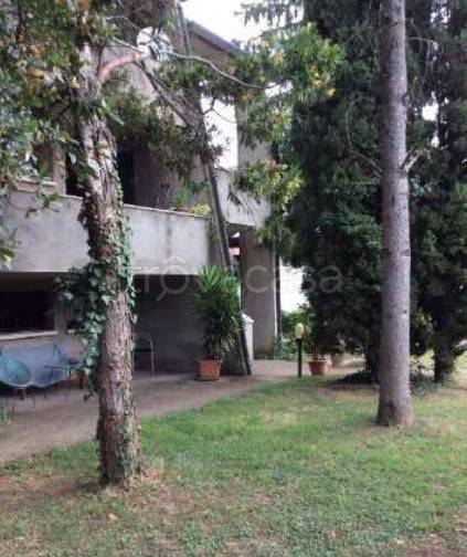 appartamento in vendita ad Orgiano