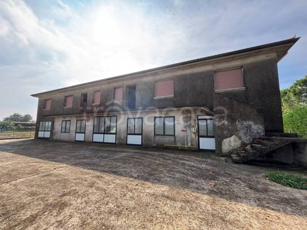appartamento in vendita ad Orgiano