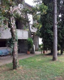 casa indipendente in vendita ad Orgiano