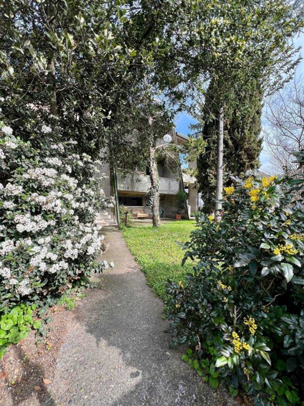 casa indipendente in vendita ad Orgiano