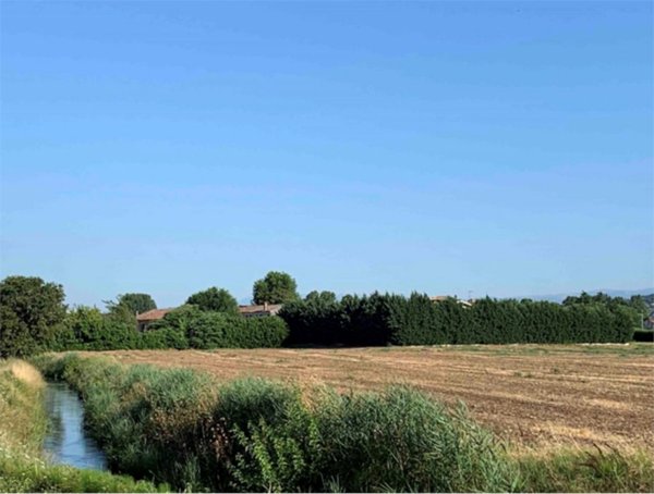 terreno edificabile in vendita ad Orgiano