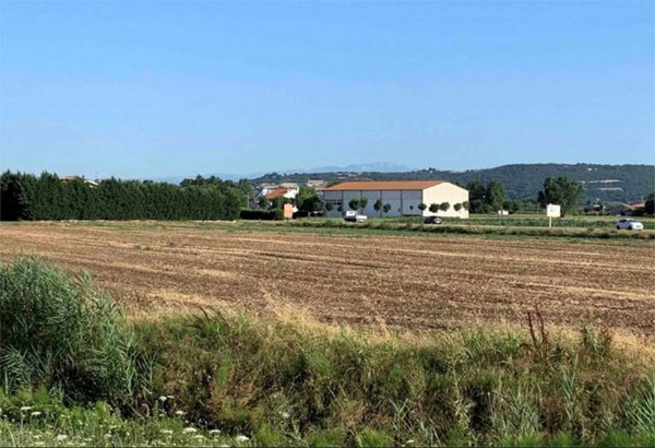 terreno edificabile in vendita ad Orgiano