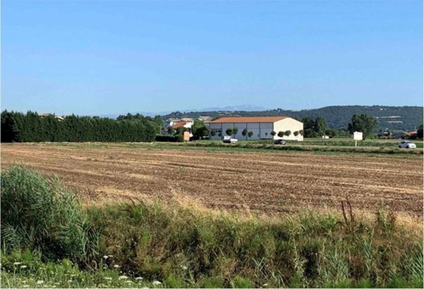 terreno edificabile in vendita ad Orgiano