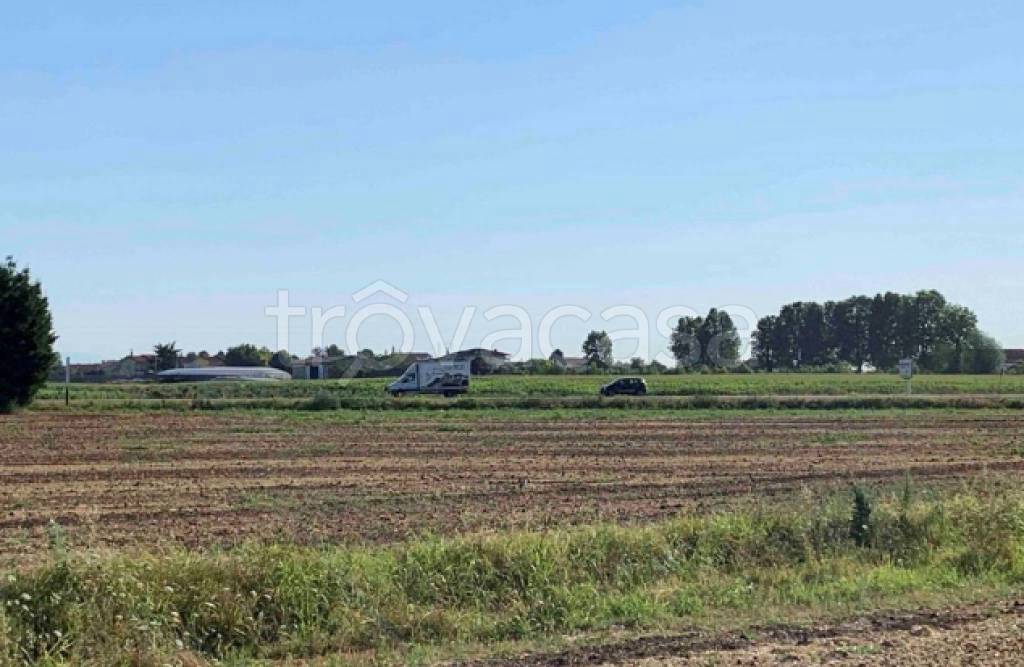 terreno edificabile in vendita ad Orgiano