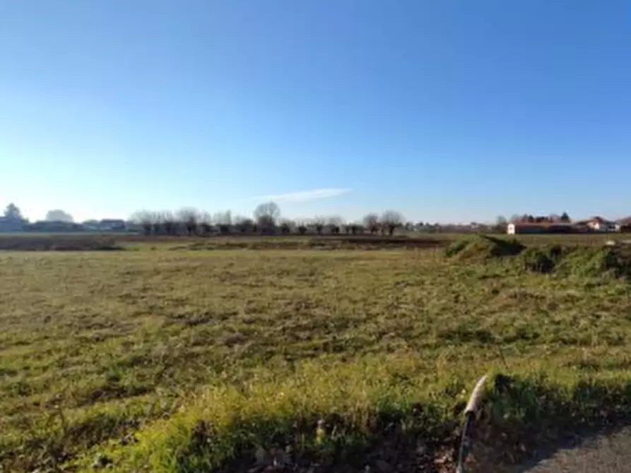 terreno edificabile in vendita ad Orgiano