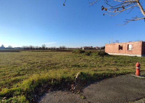 terreno edificabile in vendita ad Orgiano