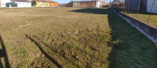 terreno edificabile in vendita ad Orgiano
