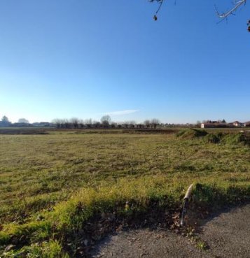 terreno edificabile in vendita ad Orgiano