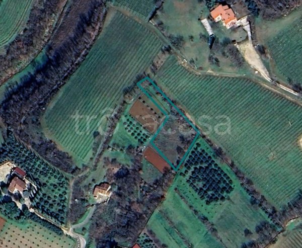 terreno agricolo in vendita ad Orgiano