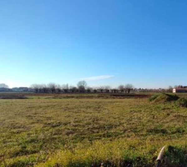 terreno edificabile in vendita ad Orgiano