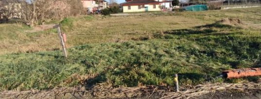 terreno edificabile in vendita ad Orgiano