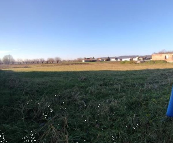 terreno edificabile in vendita ad Orgiano