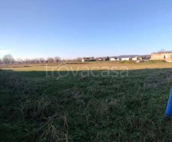 terreno edificabile in vendita ad Orgiano