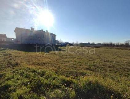 ufficio in vendita ad Orgiano